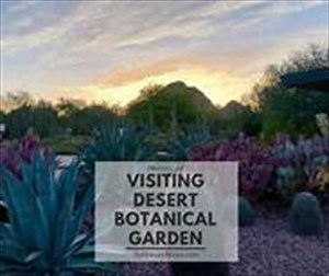 Desert Botanical Gardens VIP Pass